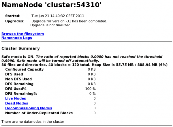 The NameNode is in Safe Mode waiting for the DataNodes to connect.